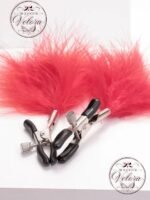 Clips – Image 2